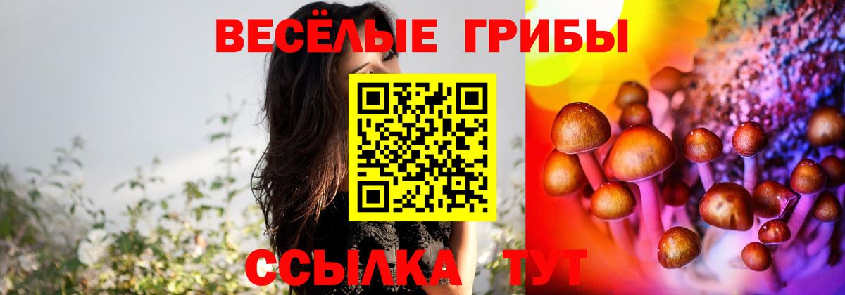 Галлюциногенные грибы GOLDEN TEACHER  Вход с VPN  Псилоцибиновые грибы MAGIC MUSHROOMS  сколько стоит  Чайковский 